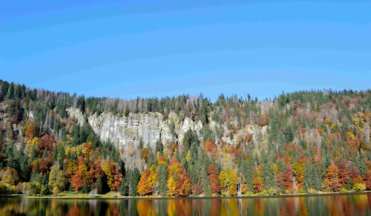 Feldberg