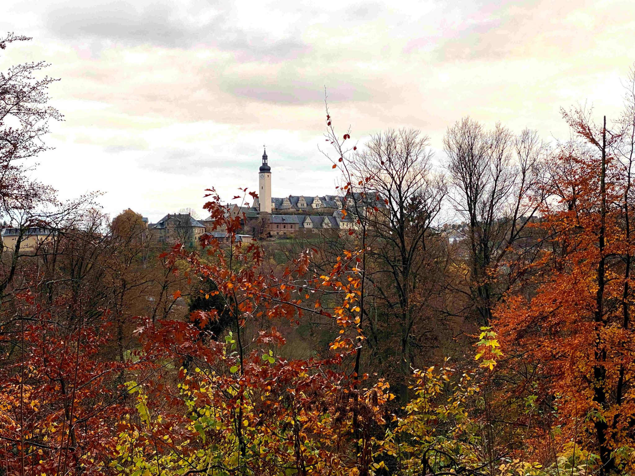 Blick auf Schloss Greiz