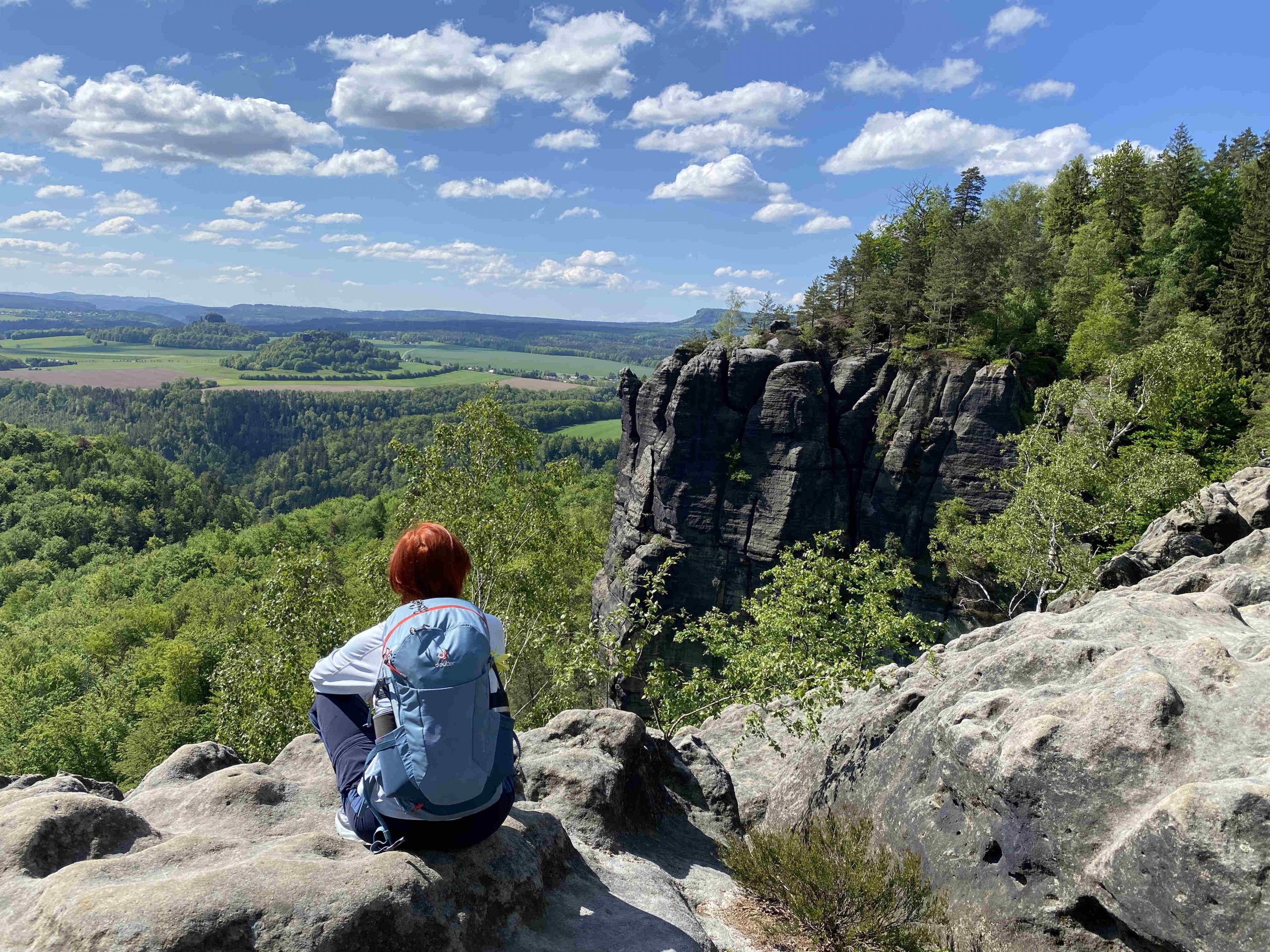 Blick übers Elbsandsteingebirge